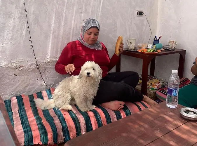 Tribe Dahab